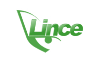 Lince